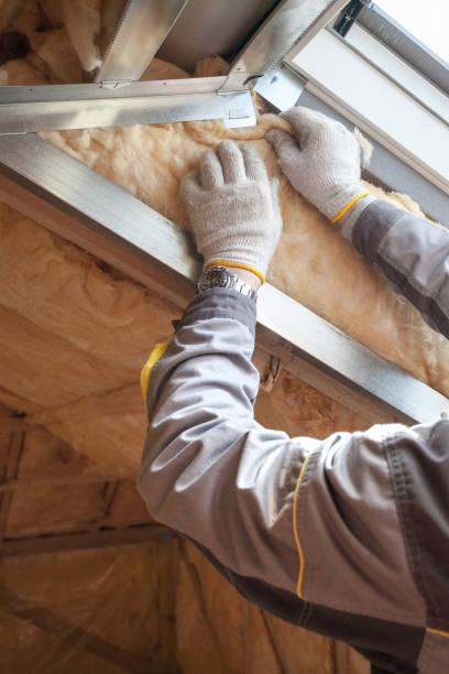 Best DIY Insulation Kits and Guidance in Lovejoy, GA