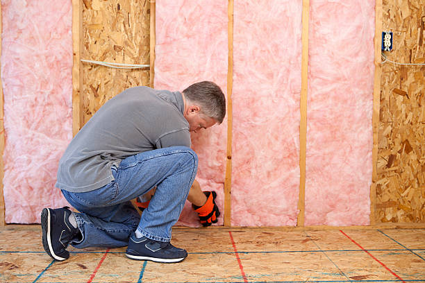 Types of Insulation We Offer in Lovejoy, GA