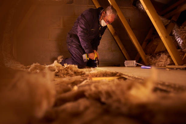 Best Commercial Insulation in Lovejoy, GA